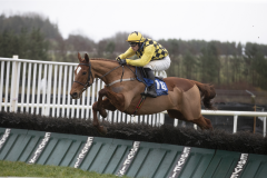 Punchestown
